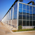 Invernaderos de vidrio para el precio de la agricultura